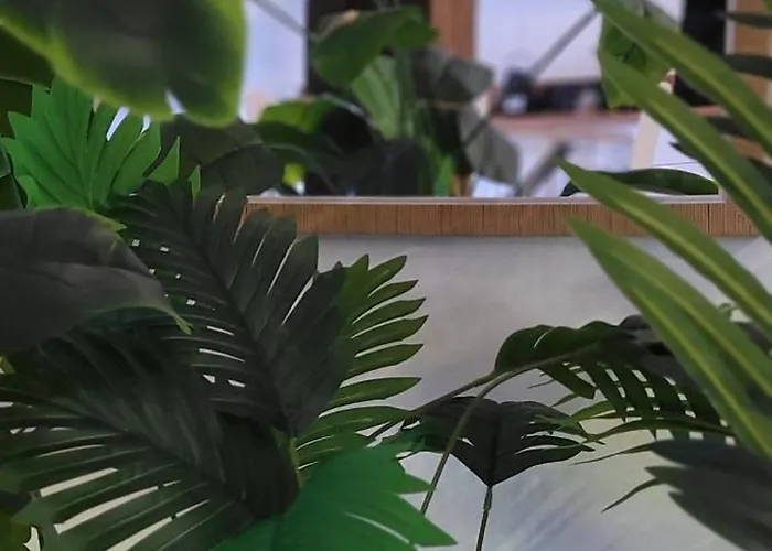 Nid D Indonezen Balneo & Table De Massage بيت للعطل Saint-Nicolas-de-la-Grave