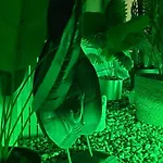 Nid D Indonezen Balneo & Table De Massage Vakantiehuis *