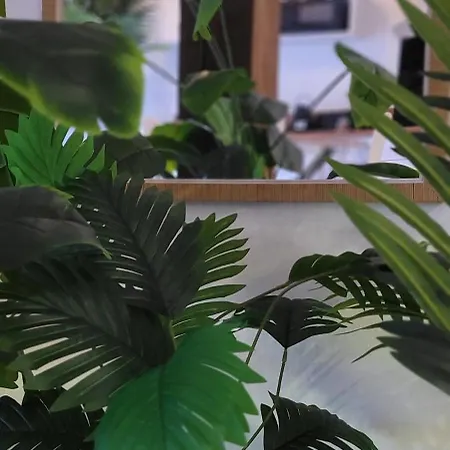 Nid D Indonezen Balneo & Table De Massage Dom wakacyjny Saint-Nicolas-de-la-Grave